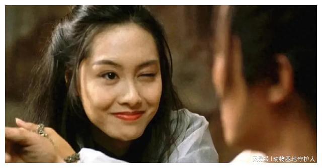 从“烂片”到经典的5部电影你要是都看过那真的是慧眼识珠！(图1)