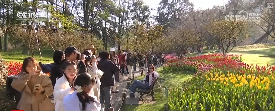 “数字+文化+影视+生态”多核驱动赋能入境游 中高端市场释放多元潜力(图8)