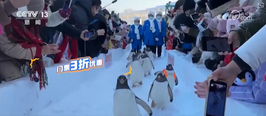 文旅消费踩上“风火轮”！“电影场景+地标景点”特色文旅标签“圈粉”无数(图3)