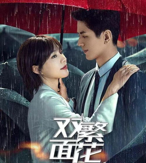 电影推荐：推荐新剧动画有哪些电影（几部新剧）