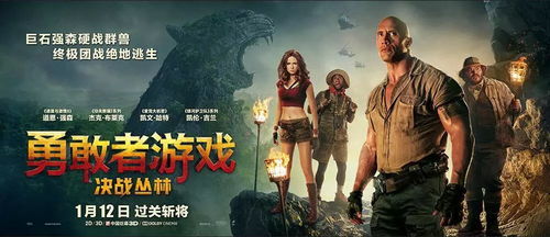 电影推荐：推荐量不多的电影有哪些（极力的）