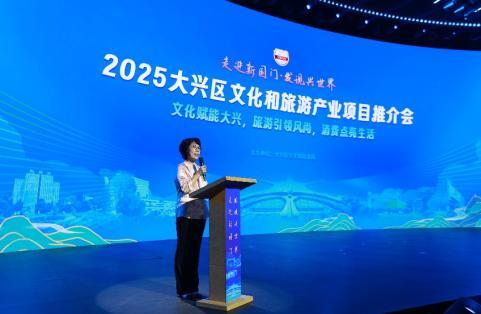 2025北京大兴区文化和旅游产业项目推介会圆满举办
