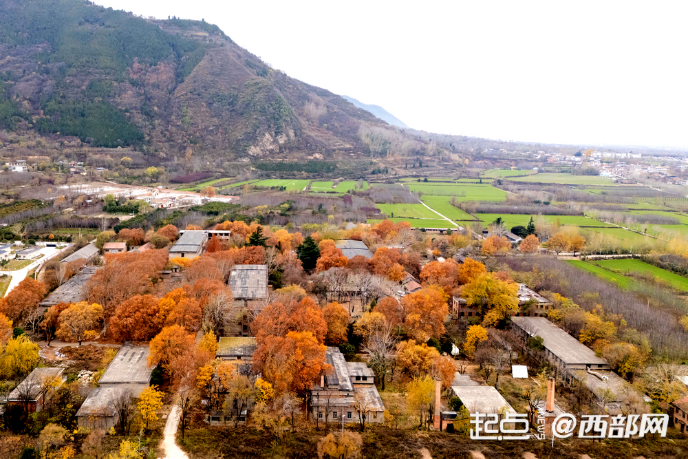 我家门口变了样｜西安风雷年代影视基地：钟楼往南20公里 藏着一座“时光片场”！(图2)