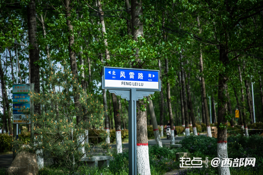 我家门口变了样｜西安风雷年代影视基地：钟楼往南20公里 藏着一座“时光片场”！(图4)